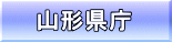 R` 
